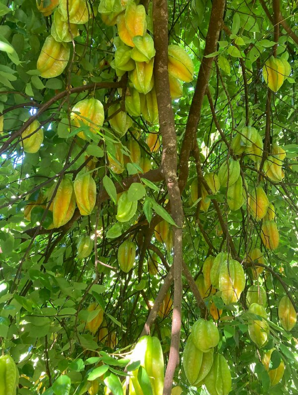 Ông bà dặn: Ông bà dặn: