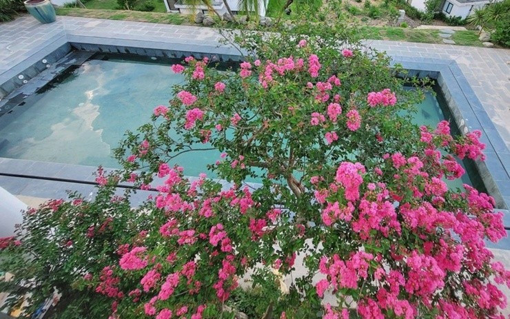 Biệt thự nghỉ dưỡng của nam diễn viên Biệt thự nghỉ dưỡng của nam diễn viên