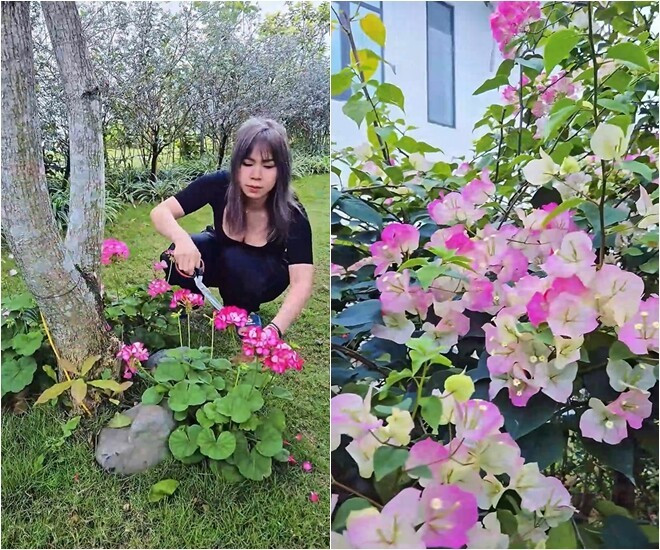 Biệt thự nghỉ dưỡng của nam diễn viên Biệt thự nghỉ dưỡng của nam diễn viên