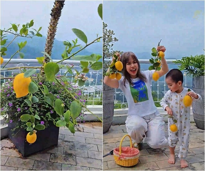 Biệt thự nghỉ dưỡng của nam diễn viên Biệt thự nghỉ dưỡng của nam diễn viên