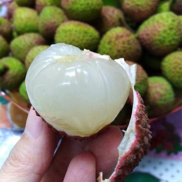 Một phụ nữ phải đi cấp cứu vì ăn hơn 100 quả vải: Có thể ăn tối đa bao nhiêu quả vải một ngày?- Ảnh 2.