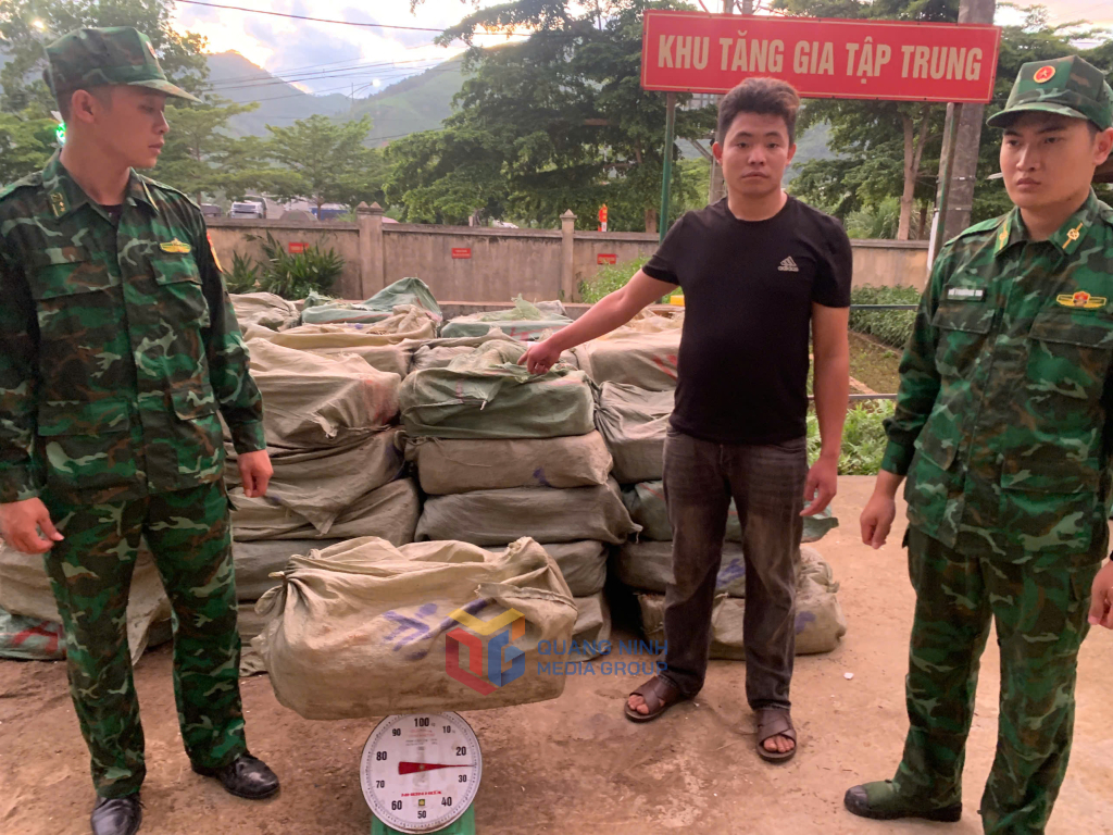 Quảng Ninh: Bắt giữ gần 2,7 tấn nầm lợn đông lạnh không rõ nguồn gốc- Ảnh 1. Quảng Ninh: Bắt giữ gần 2,7 tấn nầm lợn đông lạnh không rõ nguồn gốc- Ảnh 1.