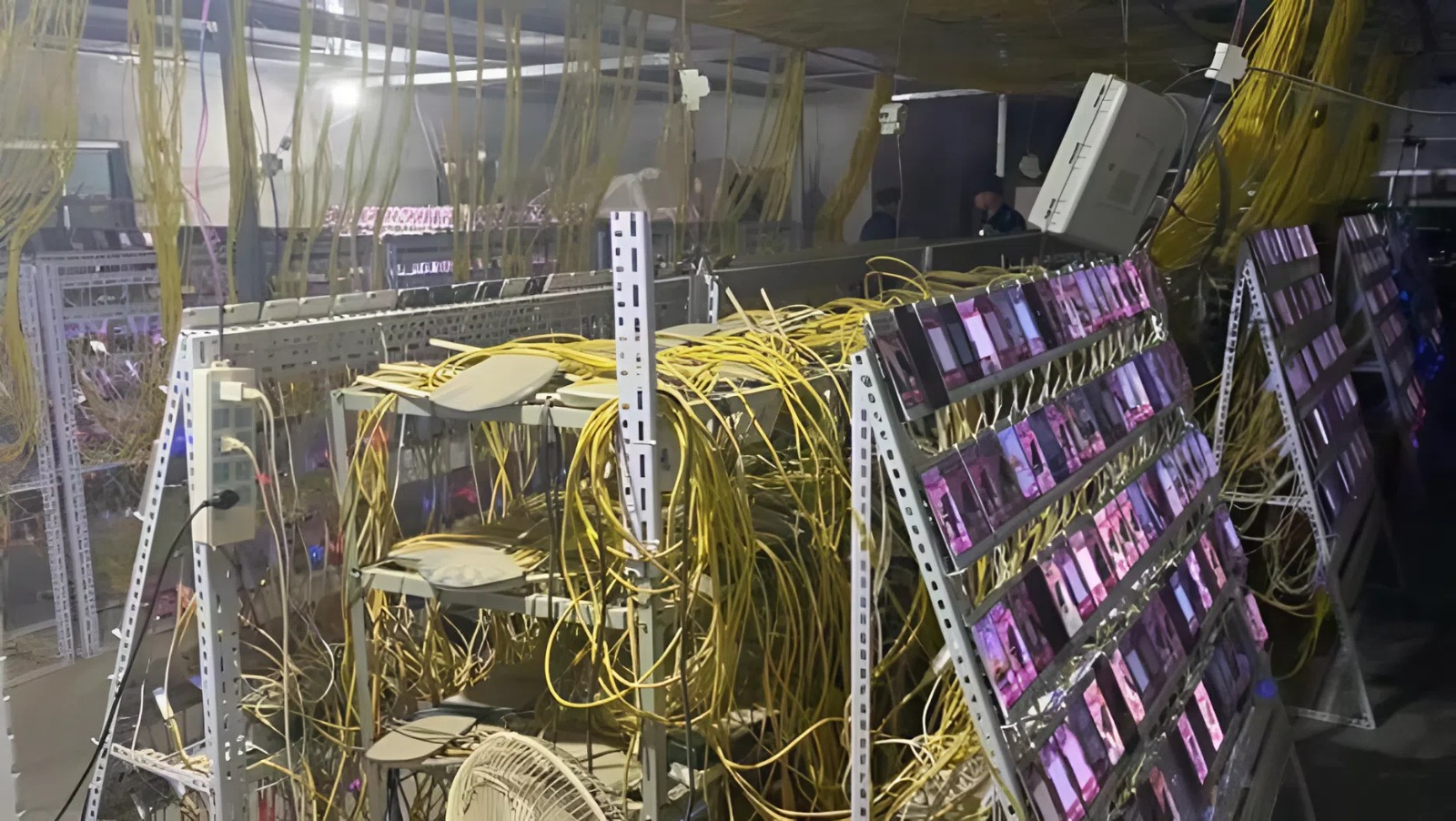 Tịch thu hơn 20.000 điện thoại phát sáng 24/7 và 32 tỷ đồng trong một căn nhà cũ- Ảnh 1. Tịch thu hơn 20.000 điện thoại phát sáng 24/7 và 32 tỷ đồng trong một căn nhà cũ- Ảnh 1.