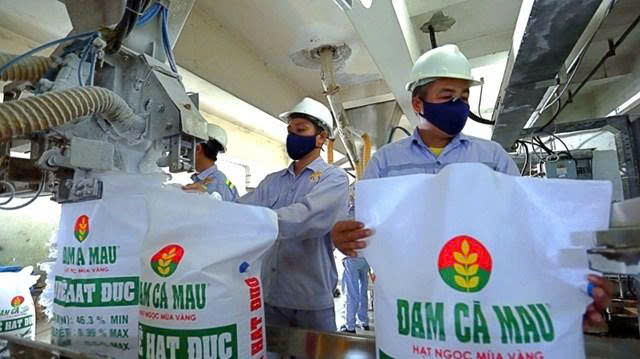 Đạm Cà Mau chốt ngày chi trả hơn 1.058 tỷ đồng cổ tức năm 2024- Ảnh 1. Đạm Cà Mau chốt ngày chi trả hơn 1.058 tỷ đồng cổ tức năm 2024- Ảnh 1.