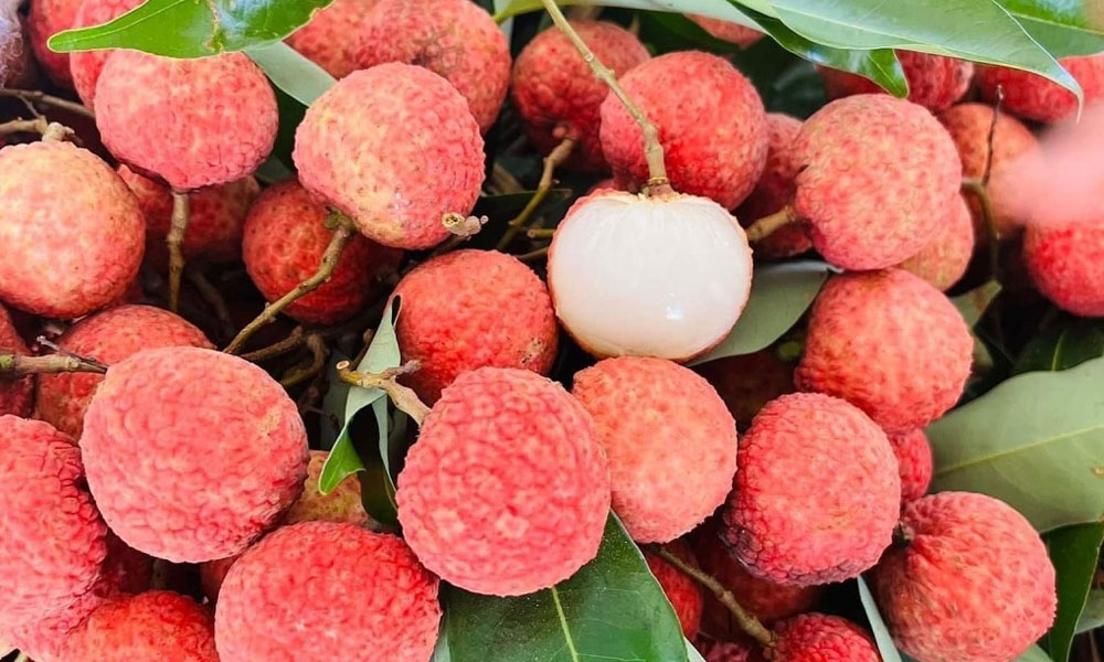 Vải thiều Việt Nam lên kệ siêu thị Đức- Ảnh 1. Vải thiều Việt Nam lên kệ siêu thị Đức- Ảnh 1.