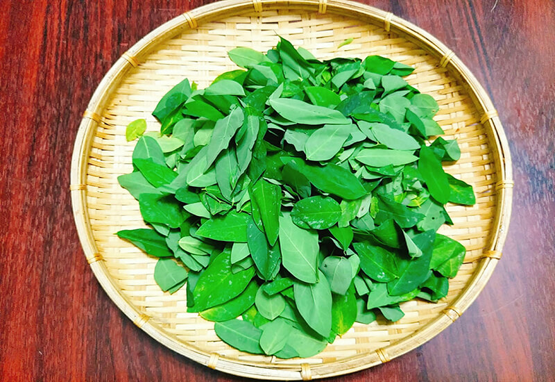 Vò rau ngót trước khi nấu có làm mất chất dinh dưỡng không? Chuyên gia trả lời khiến nhiều người phải thay đổi suy nghĩ- Ảnh 1. Vò rau ngót trước khi nấu có làm mất chất dinh dưỡng không? Chuyên gia trả lời khiến nhiều người phải thay đổi suy nghĩ- Ảnh 1.