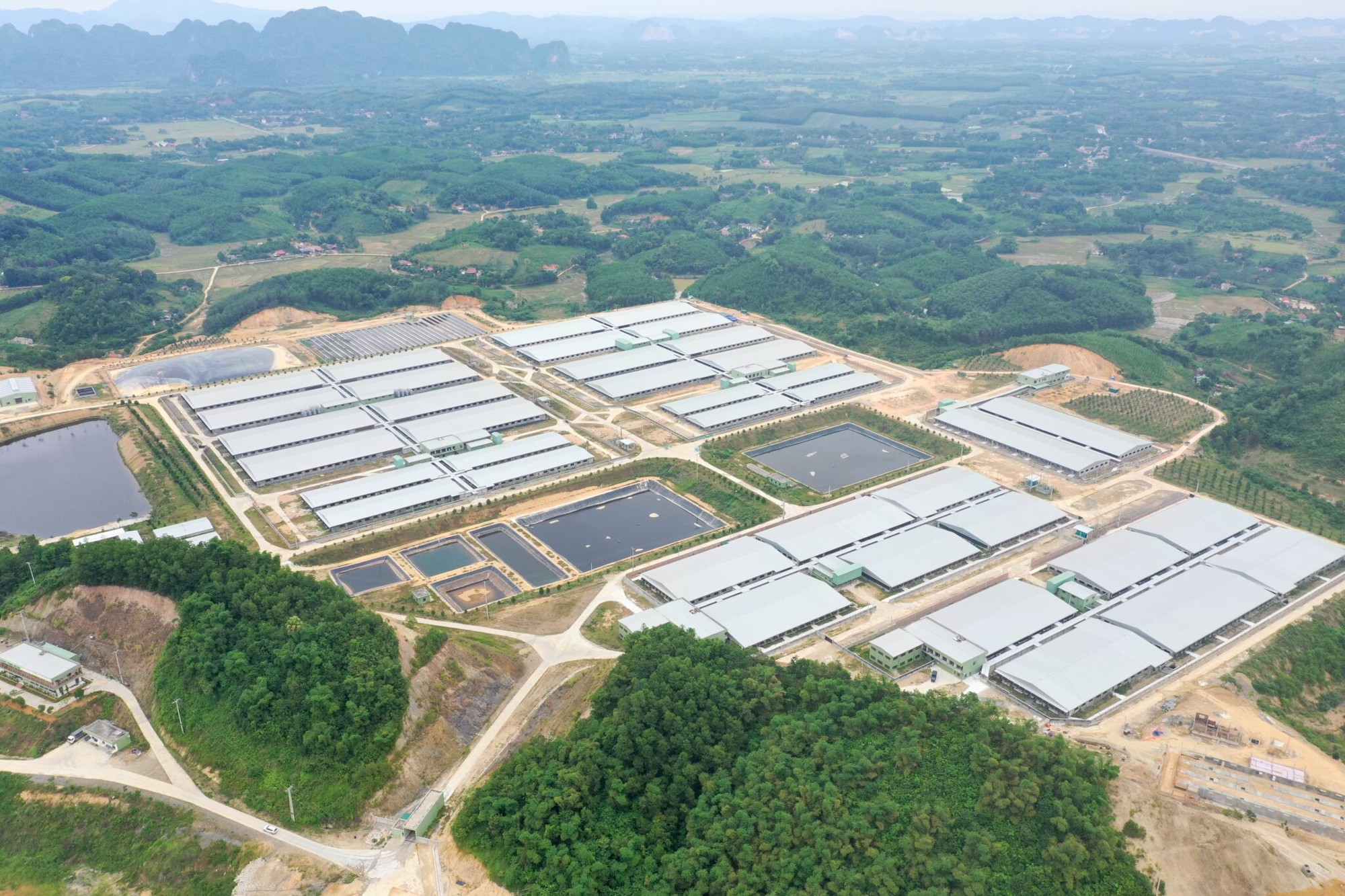 Rót 50.000 tỷ vào Rót 50.000 tỷ vào