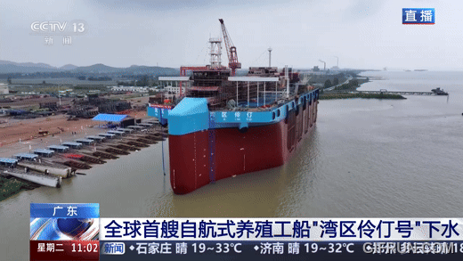 Trung Quốc đưa "tàu sân bay" ra biển... để nuôi cá: Siêu công trình như cung điện, đầu tiên trên thế giới- Ảnh 1. Trung Quốc đưa "tàu sân bay" ra biển... để nuôi cá: Siêu công trình như cung điện, đầu tiên trên thế giới- Ảnh 1.