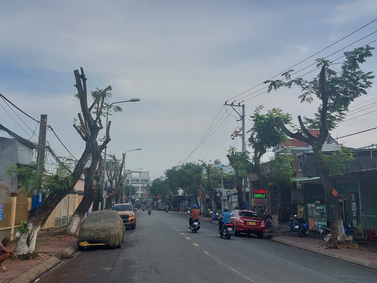 Hình ảnh hàng cây bị đốn hạ, cắt tỉa trơ trụi trên đường phố Dĩ An, Bình Dương- Ảnh 6. Hình ảnh hàng cây bị đốn hạ, cắt tỉa trơ trụi trên đường phố Dĩ An, Bình Dương- Ảnh 6.