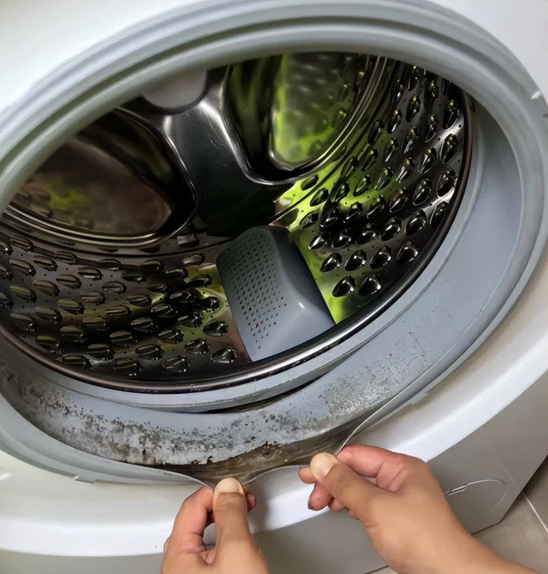 5 vật dụng trong nhà này "cực kỳ bẩn" nhưng bạn lại sử dụng chúng hàng ngày- Ảnh 4. 5 vật dụng trong nhà này "cực kỳ bẩn" nhưng bạn lại sử dụng chúng hàng ngày- Ảnh 4.