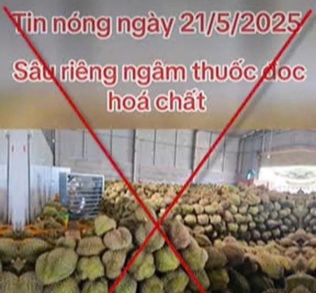 Lời giải niềm tin thị trường sầu riêng sau tin đồn thất thiệt- Ảnh 1. Lời giải niềm tin thị trường sầu riêng sau tin đồn thất thiệt- Ảnh 1.