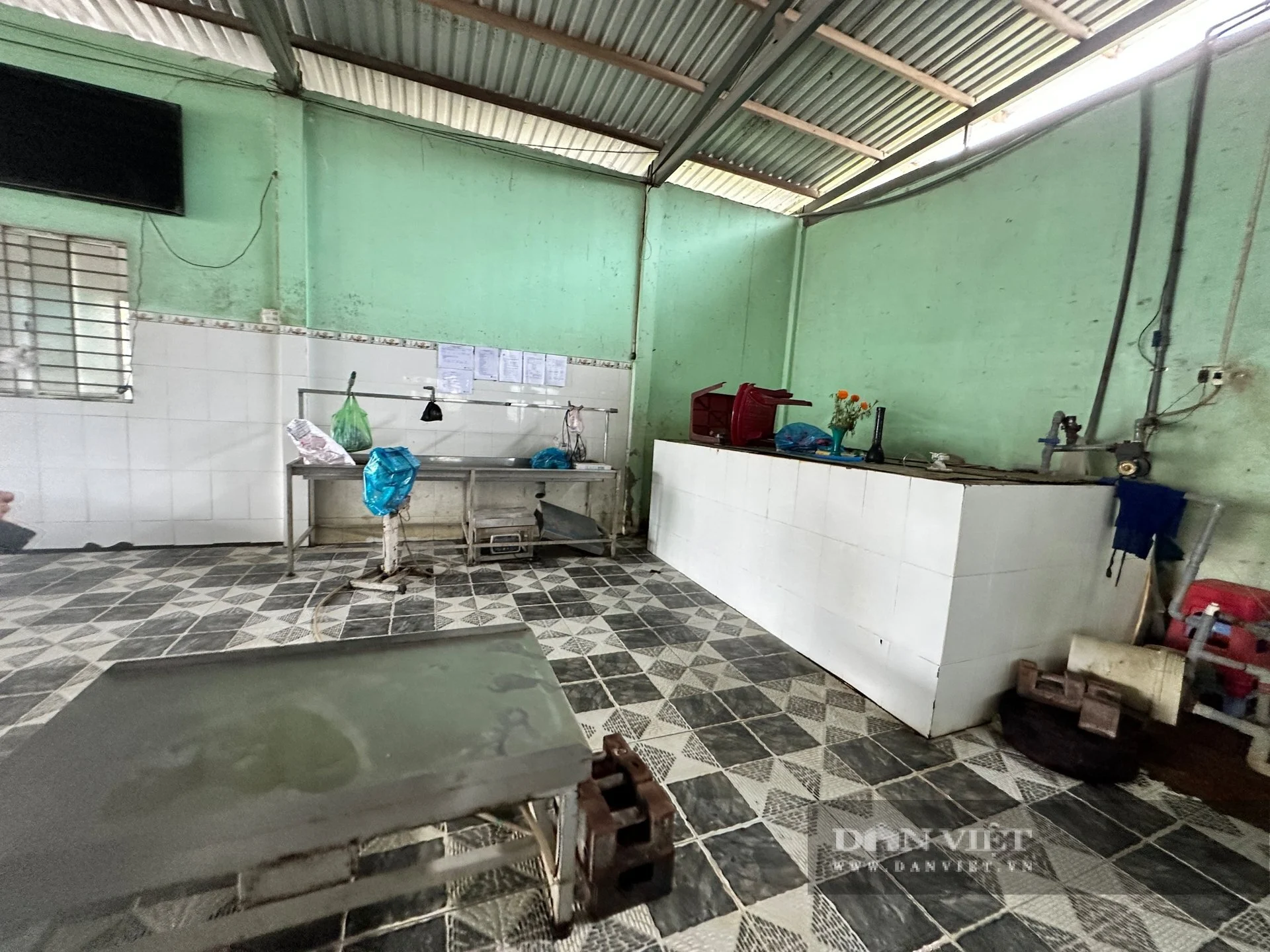 Cận cảnh bên trong cơ sở giết mổ heo gia công cho Công ty C.P Việt Nam tại Hậu Giang- Ảnh 3.