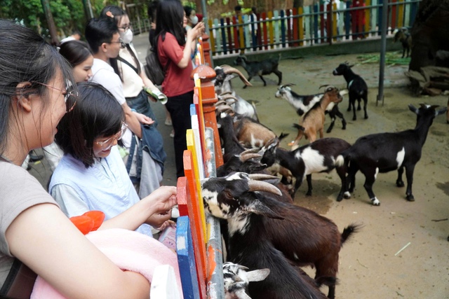 “Khối nghỉ hè” ùa vào Thảo Cầm Viên, cảnh tượng đông khó tin trong ngày 1/6 ở TP.HCM- Ảnh 6. “Khối nghỉ hè” ùa vào Thảo Cầm Viên, cảnh tượng đông khó tin trong ngày 1/6 ở TP.HCM- Ảnh 6.