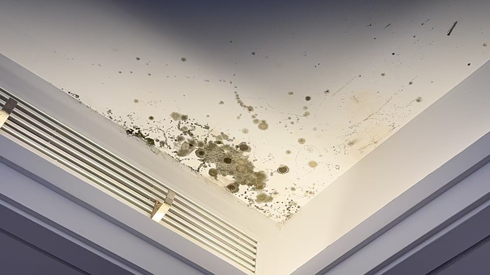 Chi gần 10 tỷ đồng mua chung cư cao cấp 155m2 vẫn phải thuê nhà ở tạm vì liên tục hỏng: Chủ đầu tư hứa tu sửa, sửa xong lại hỏng tiếp!- Ảnh 1. Chi gần 10 tỷ đồng mua chung cư cao cấp 155m2 vẫn phải thuê nhà ở tạm vì liên tục hỏng: Chủ đầu tư hứa tu sửa, sửa xong lại hỏng tiếp!- Ảnh 1.