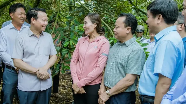 Tin giả gây hại cho thị trường sầu riêng- Ảnh 2. Tin giả gây hại cho thị trường sầu riêng- Ảnh 2.