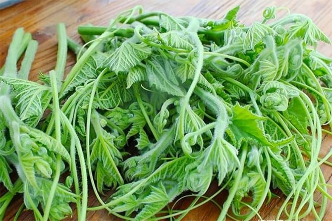 Cách chế biến loại rau bổ ngang thịt, ăn thường xuyên giúp sáng mắt, đẹp da- Ảnh 1. Cách chế biến loại rau bổ ngang thịt, ăn thường xuyên giúp sáng mắt, đẹp da- Ảnh 1.