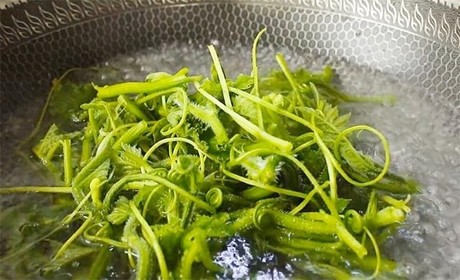 Cách chế biến loại rau bổ ngang thịt, ăn thường xuyên giúp sáng mắt, đẹp da- Ảnh 3. Cách chế biến loại rau bổ ngang thịt, ăn thường xuyên giúp sáng mắt, đẹp da- Ảnh 3.