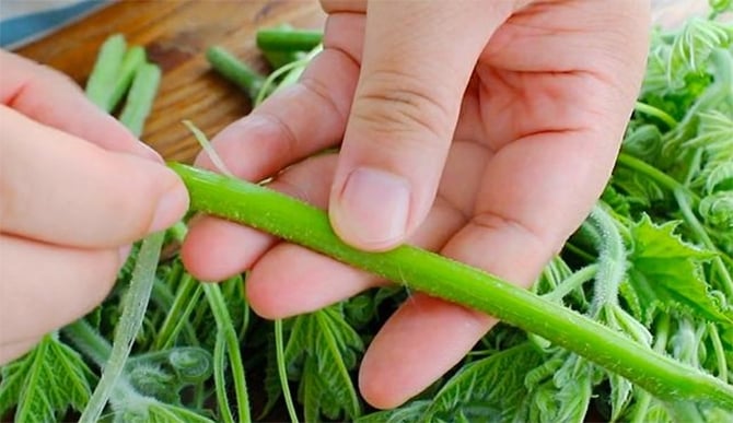 Cách chế biến loại rau bổ ngang thịt, ăn thường xuyên giúp sáng mắt, đẹp da- Ảnh 2. Cách chế biến loại rau bổ ngang thịt, ăn thường xuyên giúp sáng mắt, đẹp da- Ảnh 2.