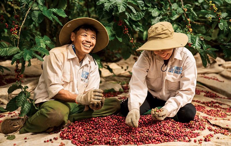 Một nông sản tỷ USD của Việt Nam được người dân nước láng giềng dùng hàng ngày, giá tăng vọt vẫn đặt mua hơn 8.000 tấn- Ảnh 1. Một nông sản tỷ USD của Việt Nam được người dân nước láng giềng dùng hàng ngày, giá tăng vọt vẫn đặt mua hơn 8.000 tấn- Ảnh 1.