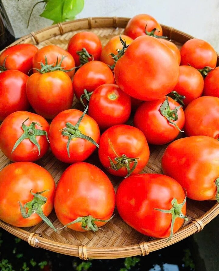 Chuyên gia kể tên những loại rau mùa hè dễ 'ngậm' hóa chất nhất- Ảnh 1. Chuyên gia kể tên những loại rau mùa hè dễ 'ngậm' hóa chất nhất- Ảnh 1.
