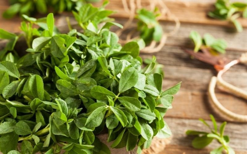 Các nhà khoa học phát hiện rau quen thuộc là khắc tinh của vi nhựa- Ảnh 1. Các nhà khoa học phát hiện rau quen thuộc là khắc tinh của vi nhựa- Ảnh 1.