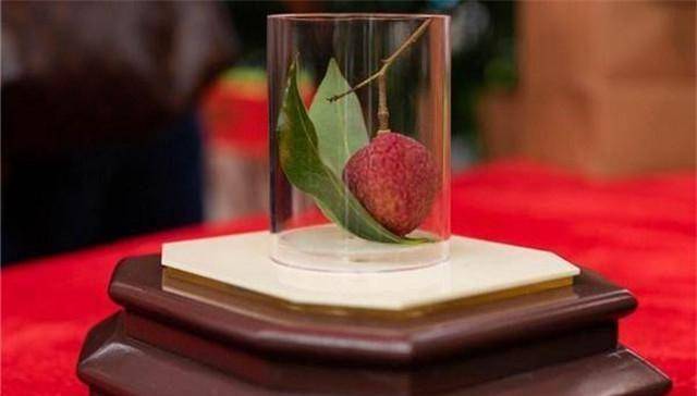 Có gì trong quả vải thiều giá lên tới gần 2 tỷ đồng, người có tiền cũng chưa chắc mua được?- Ảnh 2. Có gì trong quả vải thiều giá lên tới gần 2 tỷ đồng, người có tiền cũng chưa chắc mua được?- Ảnh 2.
