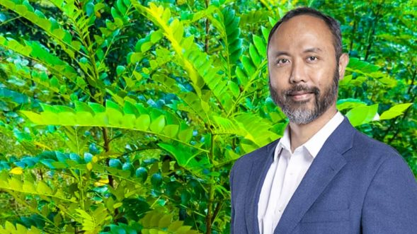 Phát hiện loại cây quý hiếm mọc ở đâu ‘kho báu’ ở đó, láng giềng Việt Nam trúng đậm thứ cả thế giới săn lùng, mở ra kỷ nguyên khai thác mới- Ảnh 1. Phát hiện loại cây quý hiếm mọc ở đâu ‘kho báu’ ở đó, láng giềng Việt Nam trúng đậm thứ cả thế giới săn lùng, mở ra kỷ nguyên khai thác mới- Ảnh 1.