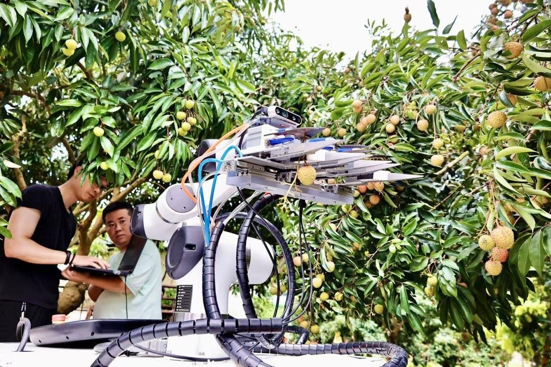 Drone bay ngợp trời, robot len qua từng gốc cây: Thủ phủ vải thế giới thu về hàng triệu tấn quả tươi nhờ ứng dụng công nghệ vệ tinh và AI tiên tiến nhất- Ảnh 4. Drone bay ngợp trời, robot len qua từng gốc cây: Thủ phủ vải thế giới thu về hàng triệu tấn quả tươi nhờ ứng dụng công nghệ vệ tinh và AI tiên tiến nhất- Ảnh 4.