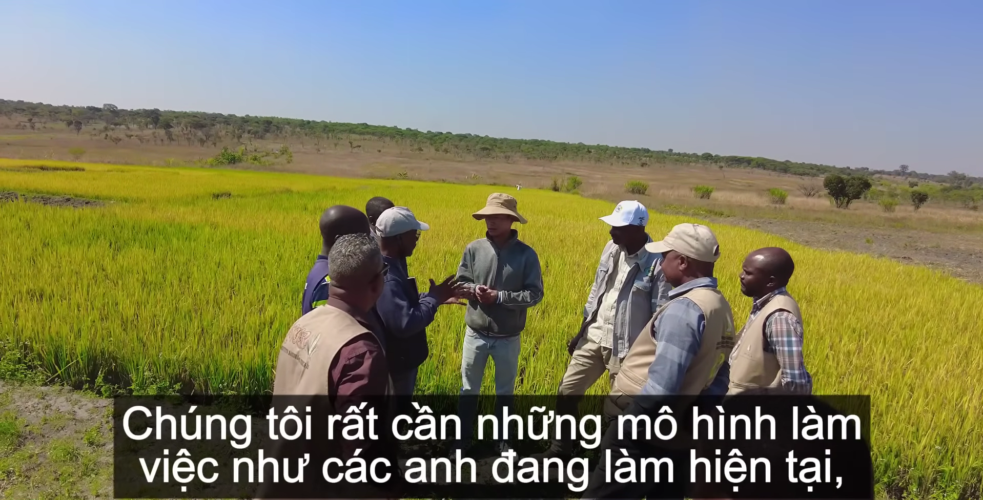 Sở Nông nghiệp Angola đến tận nơi xem team châu Phi thu hoạch lúa, được thưởng thức món nước giải khát đậm chất Việt Nam- Ảnh 4. Sở Nông nghiệp Angola đến tận nơi xem team châu Phi thu hoạch lúa, được thưởng thức món nước giải khát đậm chất Việt Nam- Ảnh 4.