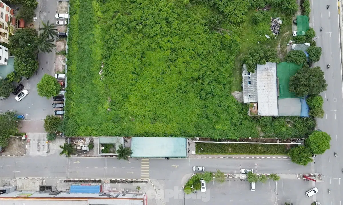 Dự án tháp tài chính gần 4.000 tỷ đồng ở Hà Nội 'hoá rừng' sau 20 năm ôm đất lãng phí- Ảnh 6. Dự án tháp tài chính gần 4.000 tỷ đồng ở Hà Nội 'hoá rừng' sau 20 năm ôm đất lãng phí- Ảnh 6.