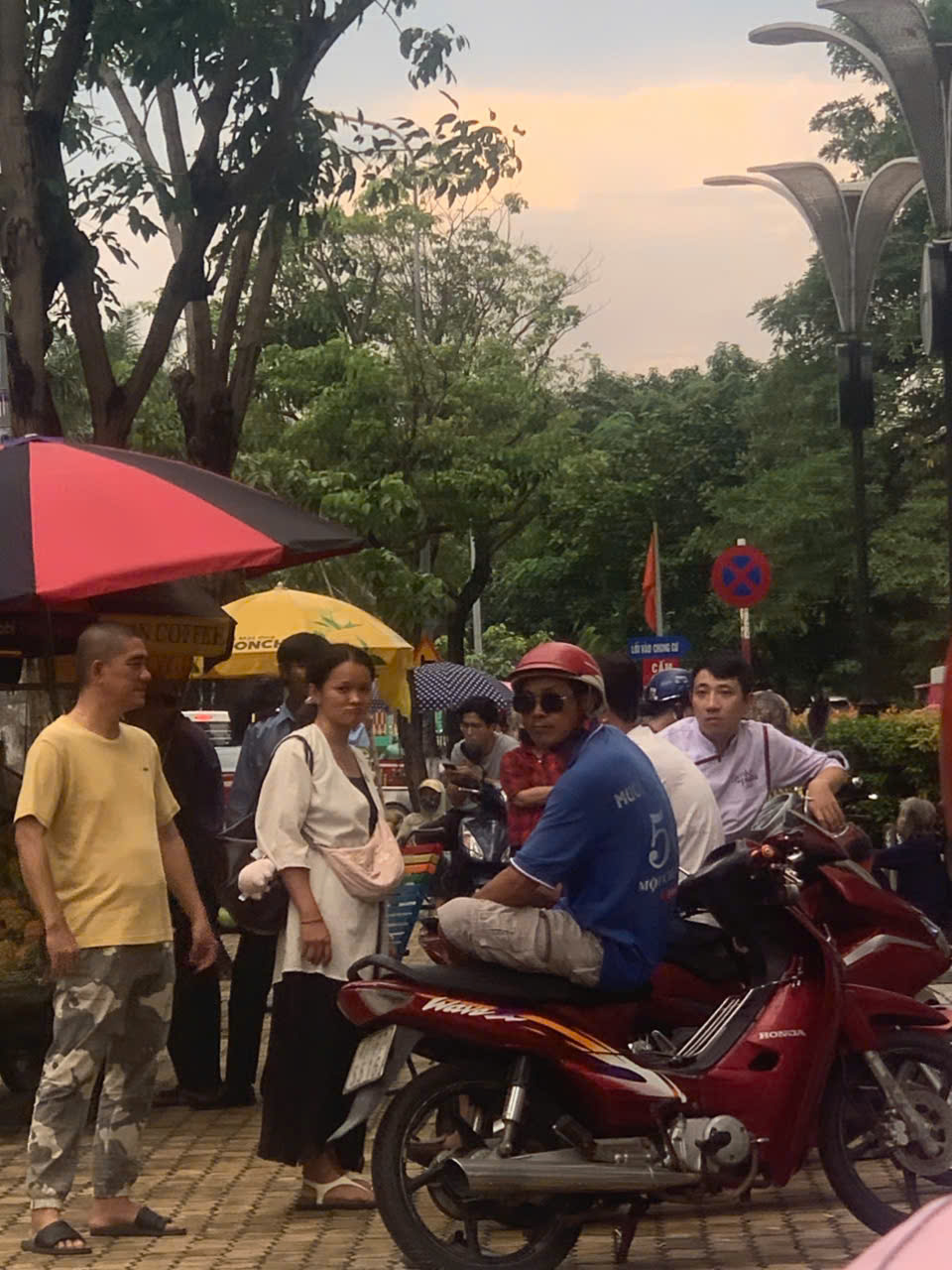 Điểm bán cua hấp trên vỉa hè TP HCM có gì đặc biệt mà khách chen kín mỗi chiều?- Ảnh 2. img