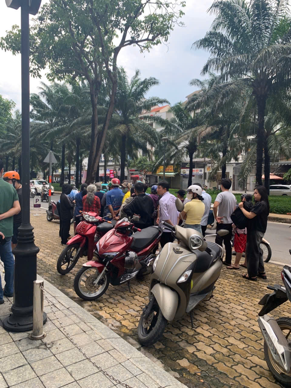 Điểm bán cua hấp trên vỉa hè TP HCM có gì đặc biệt mà khách chen kín mỗi chiều?- Ảnh 1. img