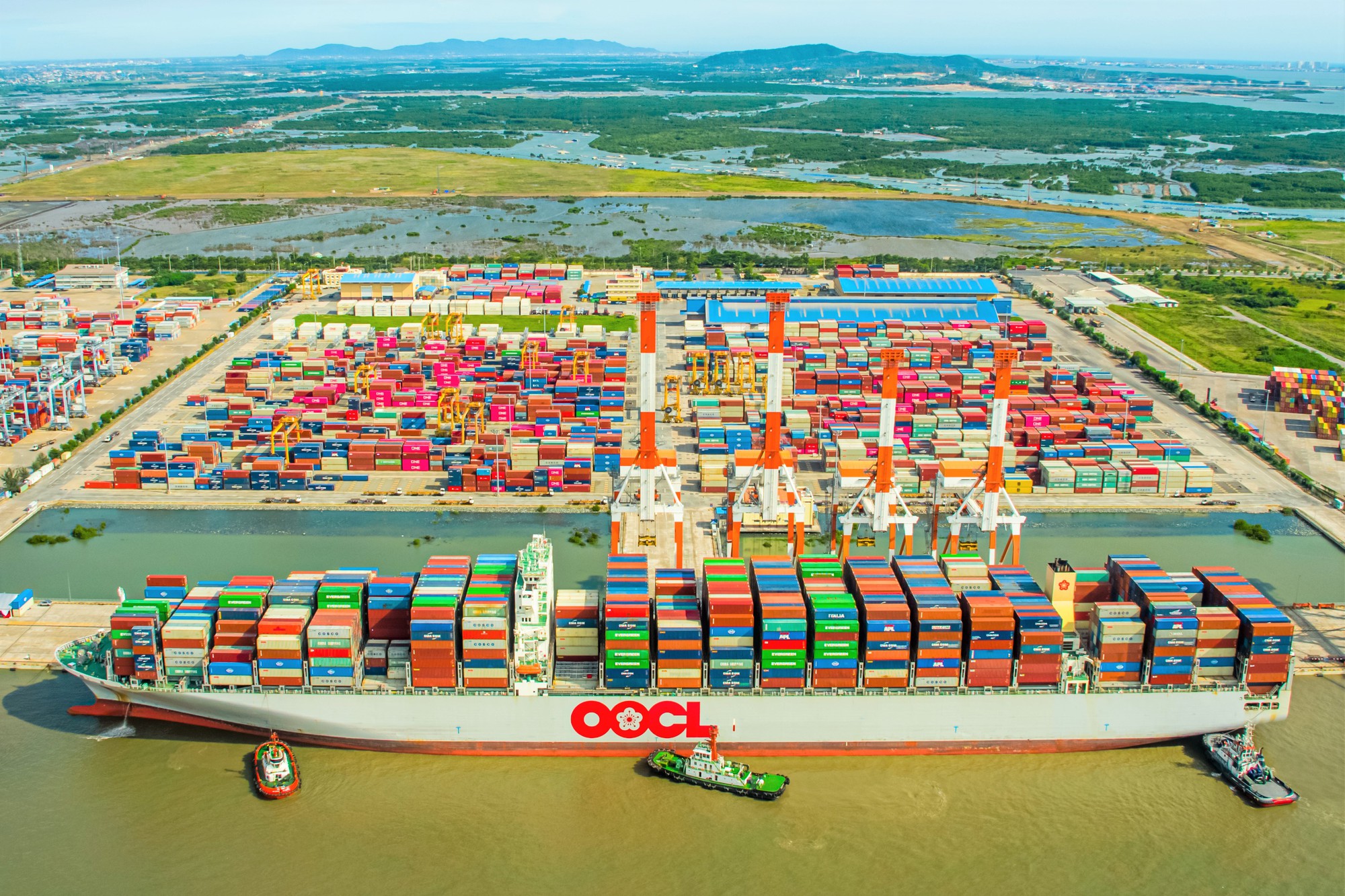"Mỏ vàng" đem về 30.000 tỷ đồng mỗi năm, đưa TP Việt Nam vào top đầu ASEAN được Thủ tướng chỉ đạo ‘nóng’- Ảnh 3. "Mỏ vàng" đem về 30.000 tỷ đồng mỗi năm, đưa TP Việt Nam vào top đầu ASEAN được Thủ tướng chỉ đạo ‘nóng’- Ảnh 3.