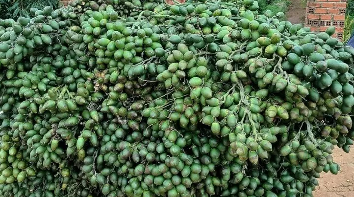 Từng tăng nhập khẩu 1.200%, một mặt hàng từ Trung Quốc đổ bộ ngược trở lại Việt Nam, nước ta chi gần 300 tỷ đồng mua hàng- Ảnh 1. Từng tăng nhập khẩu 1.200%, một mặt hàng từ Trung Quốc đổ bộ ngược trở lại Việt Nam, nước ta chi gần 300 tỷ đồng mua hàng- Ảnh 1.