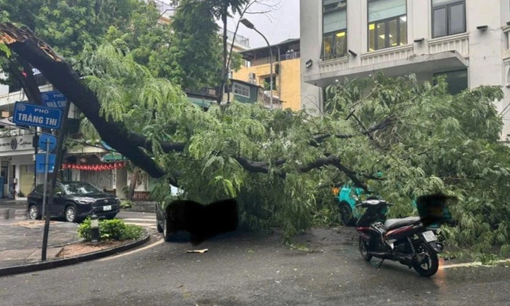 Cây đổ trúng 3 ô tô trên phố Tràng Thi, Hà Nội- Ảnh 1. Cây đổ trúng 3 ô tô trên phố Tràng Thi, Hà Nội- Ảnh 1.