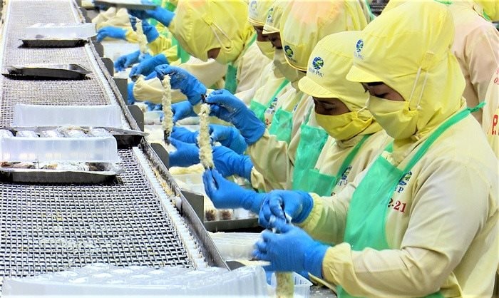 Vua tôm Minh Phú "hì hục" bán lỗ để giải quyết 20.000 tấn hàng tồn kho từ Covid- Ảnh 3. Vua tôm Minh Phú "hì hục" bán lỗ để giải quyết 20.000 tấn hàng tồn kho từ Covid- Ảnh 3.