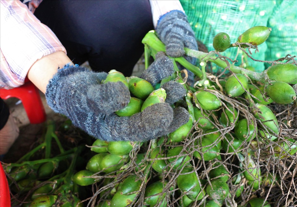 Việt Nam chi hàng triệu đô nhập khẩu 1 loại kẹo Trung Quốc: Mục đích sử dụng là gì?- Ảnh 2.