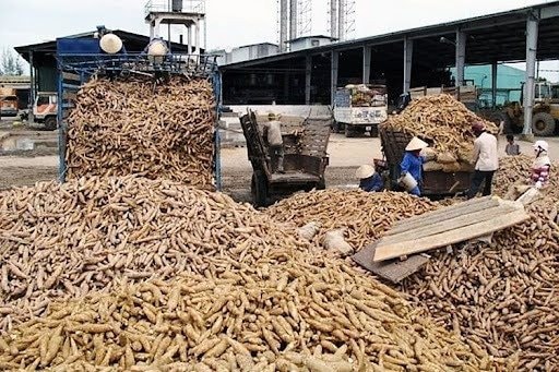 Hàng chục nghìn tấn hàng ùn ứ ở cửa khẩu: Bộ trưởng Thái Lan vừa nhấn mạnh điều gì?- Ảnh 1. Hàng chục nghìn tấn hàng ùn ứ ở cửa khẩu: Bộ trưởng Thái Lan vừa nhấn mạnh điều gì?- Ảnh 1.