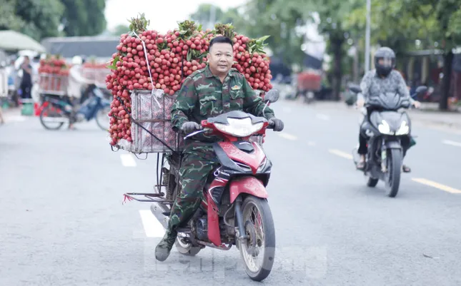 Đi chợ vải thiều Bắc Giang- Ảnh 1. Đi chợ vải thiều Bắc Giang- Ảnh 1.