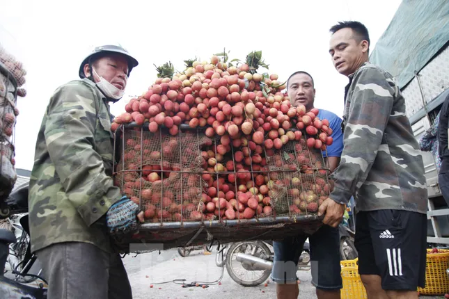 Đi chợ vải thiều Bắc Giang- Ảnh 8. Đi chợ vải thiều Bắc Giang- Ảnh 8.