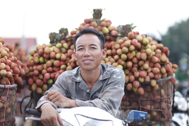 Đi chợ vải thiều Bắc Giang- Ảnh 4. Đi chợ vải thiều Bắc Giang- Ảnh 4.