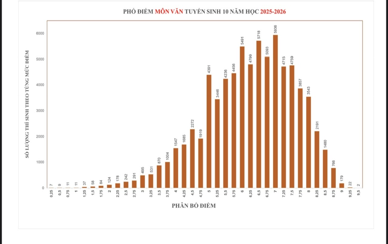 NÓNG: Công bố phổ điểm thi lớp 10 tại TP HCM, 448 điểm 10 tiếng Anh, 36 điểm 10 toán- Ảnh 1.