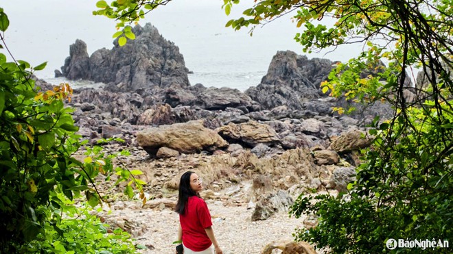 Phát hiện hòn đảo được ví là "hòn ngọc xanh" ngay ở Cửa Lò, du khách nhận xét: Không nghĩ đẹp đến vậy!- Ảnh 6. Phát hiện hòn đảo được ví là "hòn ngọc xanh" ngay ở Cửa Lò, du khách nhận xét: Không nghĩ đẹp đến vậy!- Ảnh 6.
