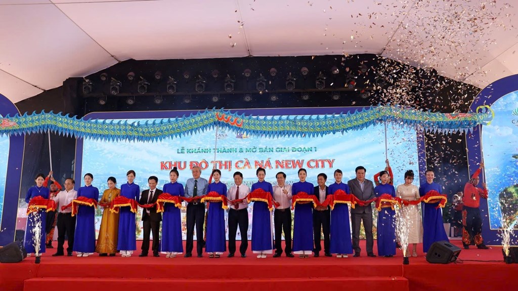 Những đại gia nào đứng sau ACT Holdings - chủ đầu tư Khu đô thị mới Đầm Cà Ná?- Ảnh 1. Những đại gia nào đứng sau ACT Holdings - chủ đầu tư Khu đô thị mới Đầm Cà Ná?- Ảnh 1.