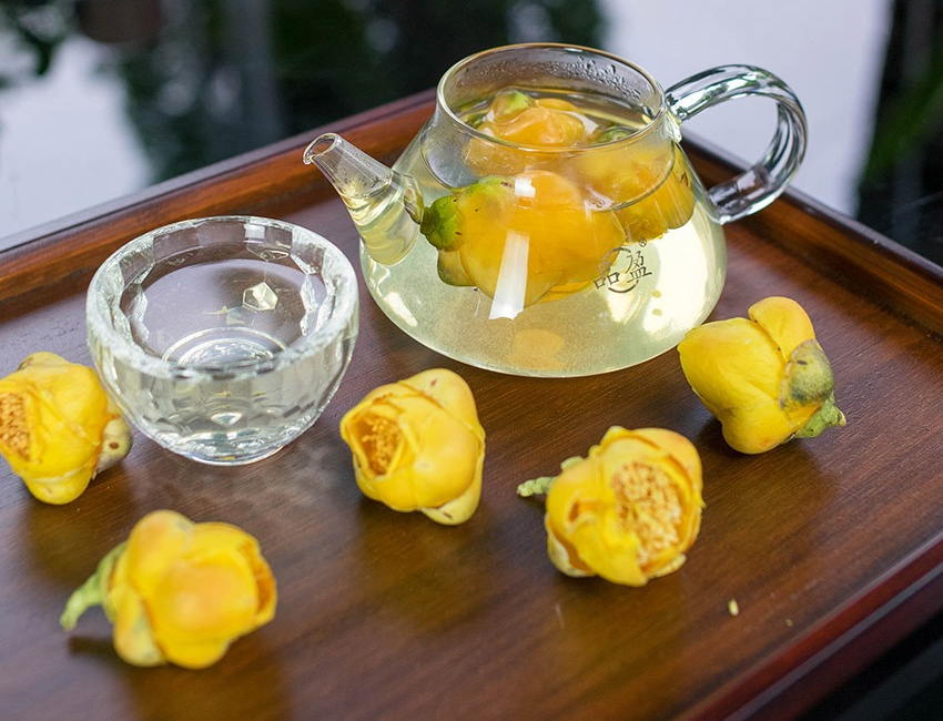 Loài cây nhà giàu coi như báu vật, trồng đâu lộc đó, tiền tụ như mây kéo- Ảnh 3. Loài cây nhà giàu coi như báu vật, trồng đâu lộc đó, tiền tụ như mây kéo- Ảnh 3.