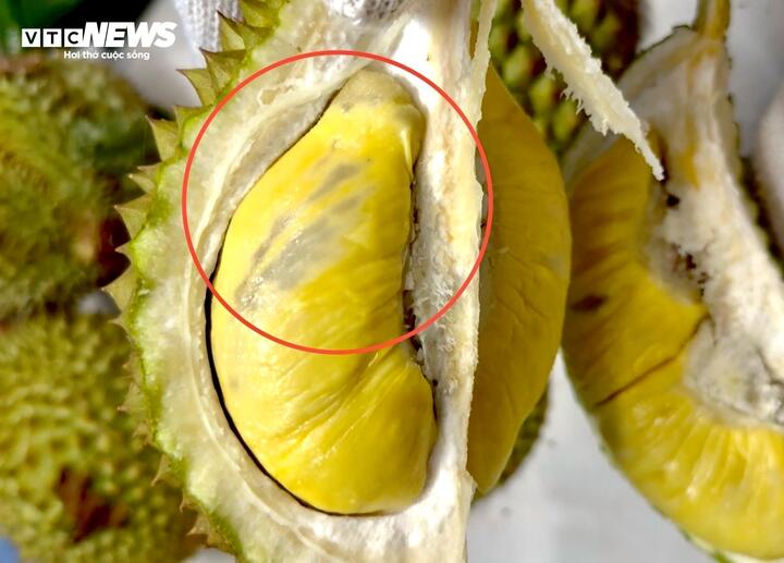 Sầu riêng sượng nước, nông dân bất lực nhìn giá rớt thảm- Ảnh 5.