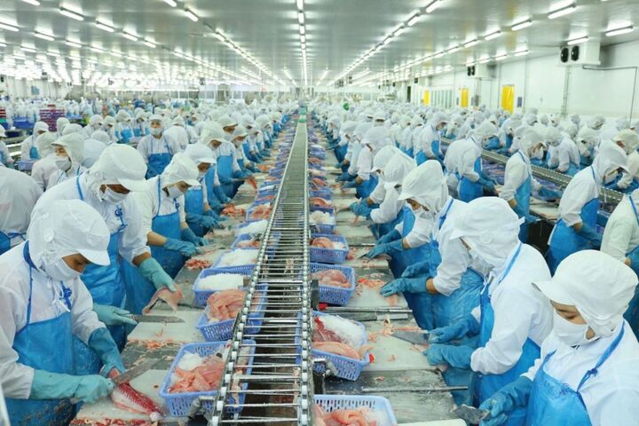 Xuất khẩu thủy sản tăng mạnh, VASEP vẫn lo thuế đối ứng- Ảnh 1. Xuất khẩu thủy sản tăng mạnh, VASEP vẫn lo thuế đối ứng- Ảnh 1.