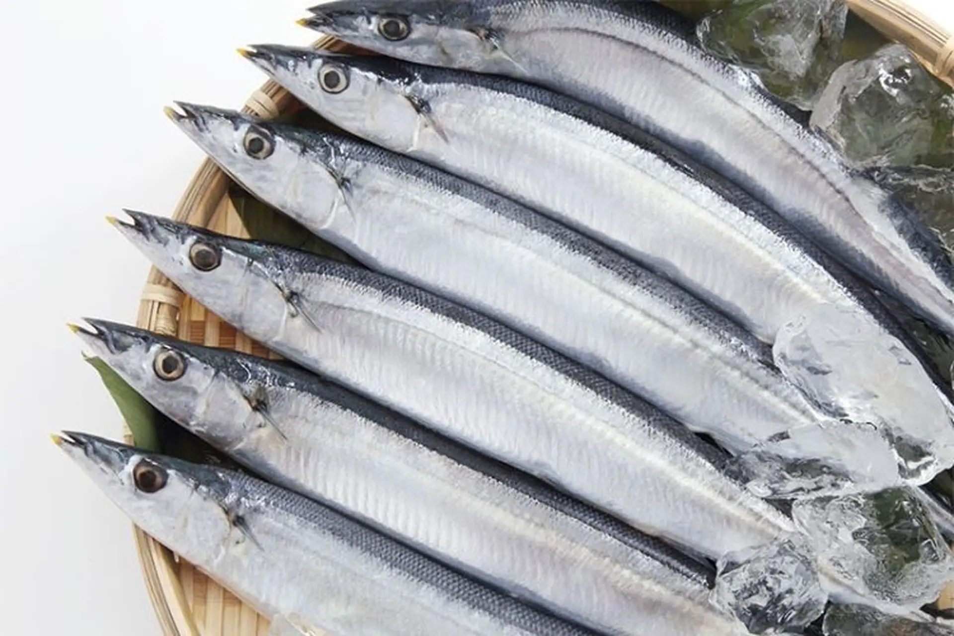 "Vua omega-3" là loại cá bình dân bán đầy chợ Việt, cá hồi ngậm ngùi hạng 2- Ảnh 2. "Vua omega-3" là loại cá bình dân bán đầy chợ Việt, cá hồi ngậm ngùi hạng 2- Ảnh 2.