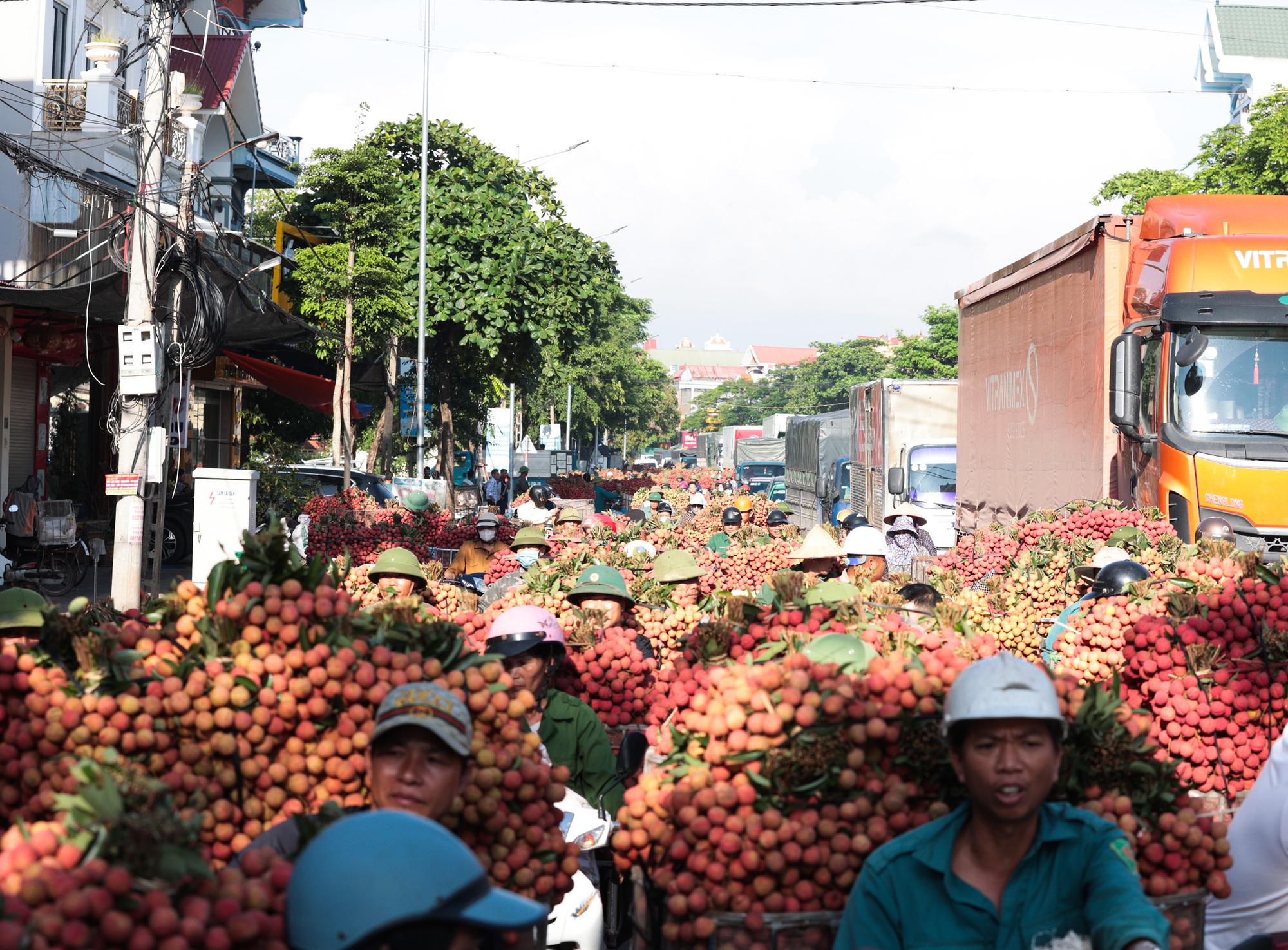 Sáng mùng 1 âm lịch, người dân Bắc Giang bàng hoàng vì giá vải bỗng dưng giảm mạnh, chỉ còn 3.000 đồng/kg- Ảnh 3. Sáng mùng 1 âm lịch, người dân Bắc Giang bàng hoàng vì giá vải bỗng dưng giảm mạnh, chỉ còn 3.000 đồng/kg- Ảnh 3.