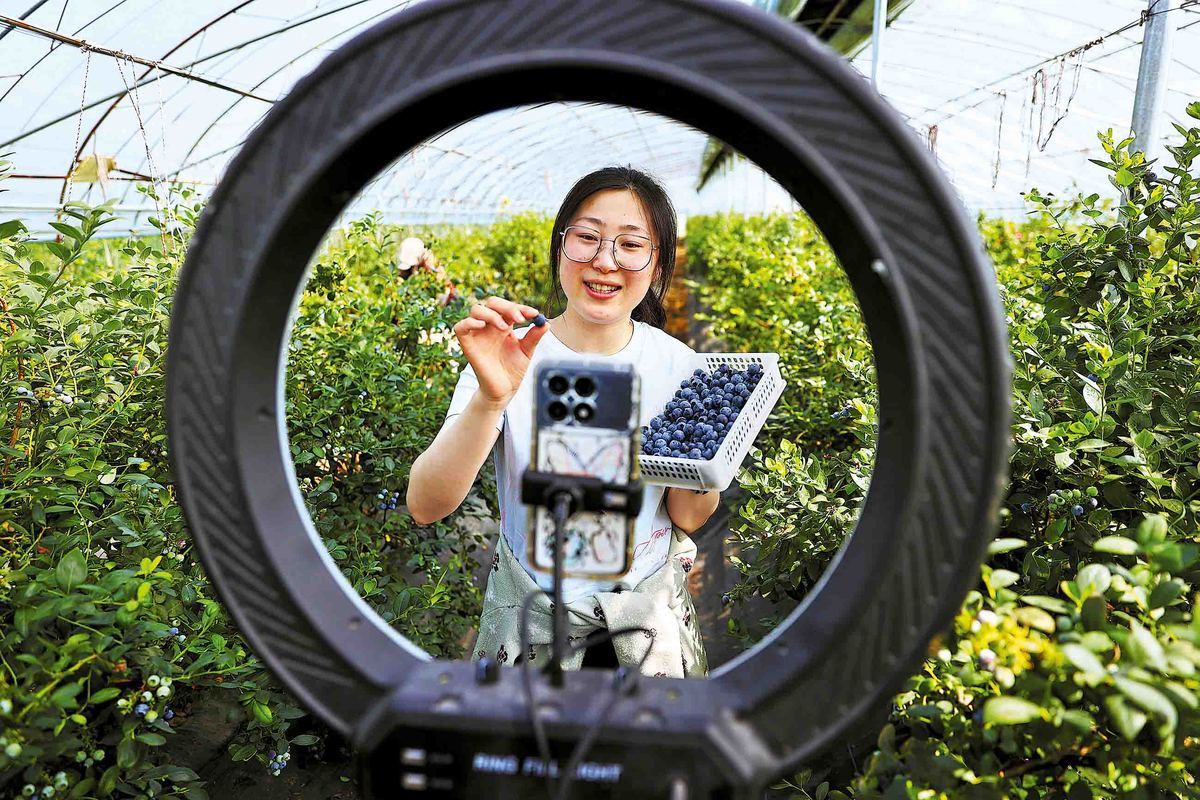 Trung Quốc siết chặt quản lý bán hàng livestream: Người bán phải được đánh giá trình độ- Ảnh 1. Trung Quốc siết chặt quản lý bán hàng livestream: Người bán phải được đánh giá trình độ- Ảnh 1.